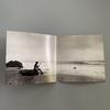 [USED] PHIL UPCHURCH Japanese Version CD Included DARKNESS DARKNESS