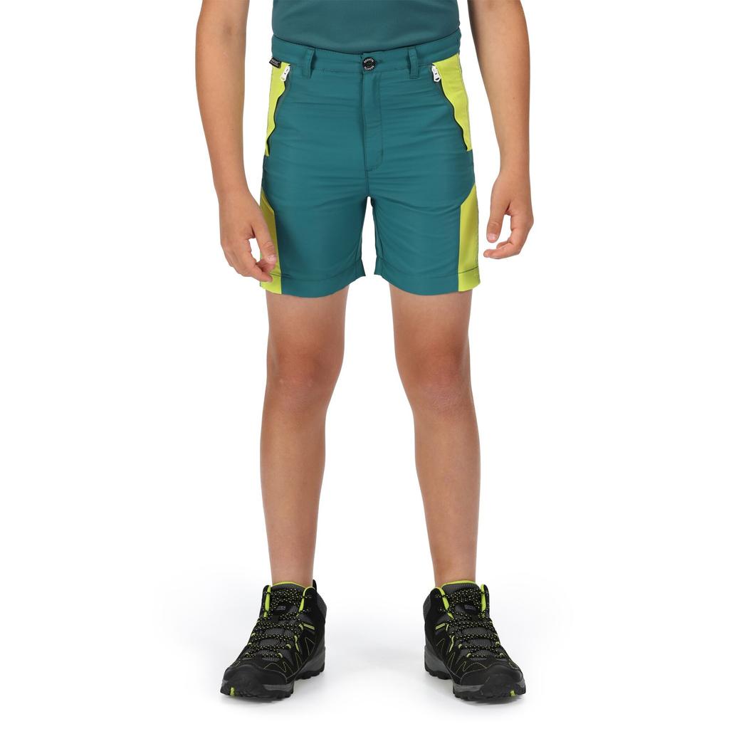 Regatta Childrens/Kids Sorcer II Mountain Shorts