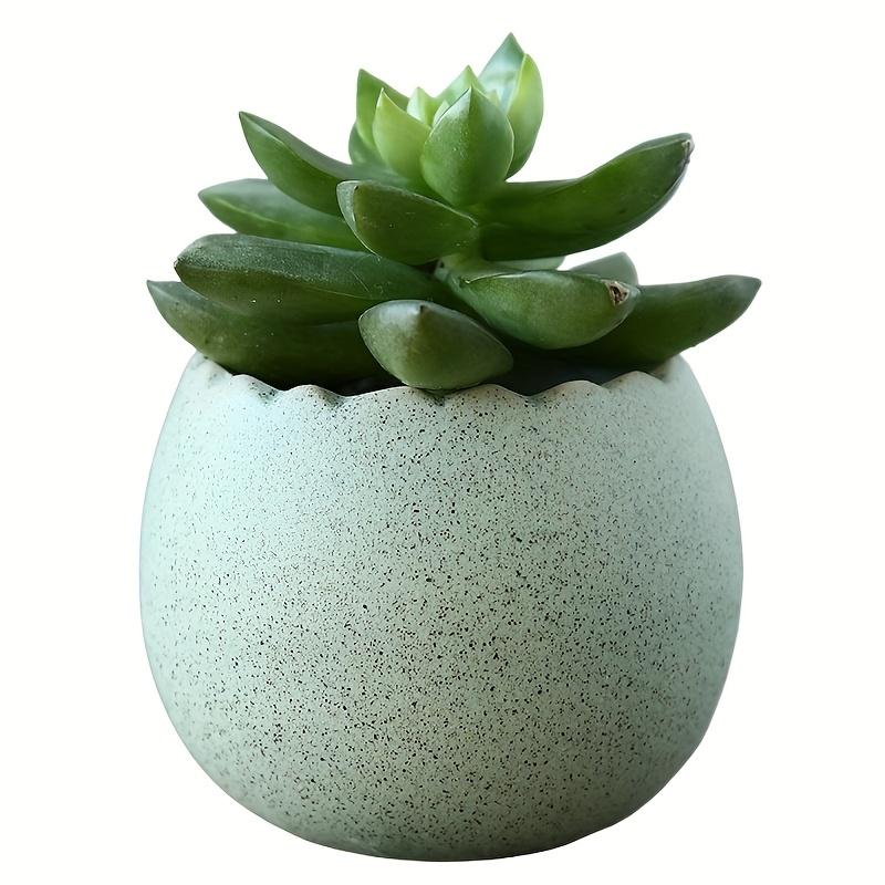 Drainage Half Dragon Egg Shell Design Ceramic Flower Pot Succulent Pots Garden Pots