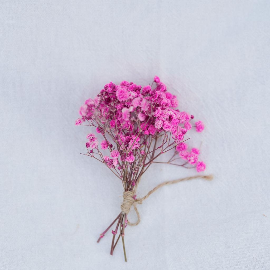 Classic Rustic Dried Flower Bundle Aesthetic Photography Props Minimalist Home Room Desk Vases Decor Accessories