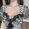 Leopard Print Mesh V-Neck Bodycon Mini Dress