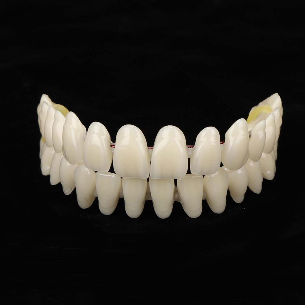 1Pair Resin Dental Teeth Teaching Model Removable Dental Training Model DIY Practice