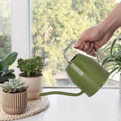Indoor Watering Can Pot Flower Waterings Jug Water Lightweight Modern Multifunctional