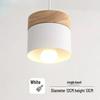 Lampada a sospensione in ferro battuto stile nordico macaron, testa singola in bianco/grigio