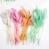 50 Stück/Beutel Lange Gänsefedern Gerupfte Coque Putzfedern Fascinators Hüte Verzierungen Farbige Handwerkszubehör