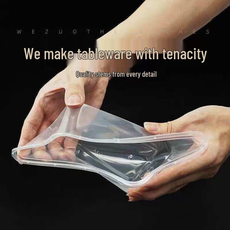 ZISIZ Rectangular Disposable Food Container with Lid