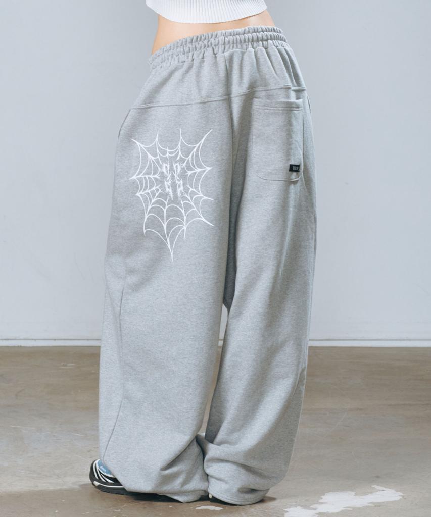 D.XO.H Spiderweb Thunder Logo Big Wide Pants Gray