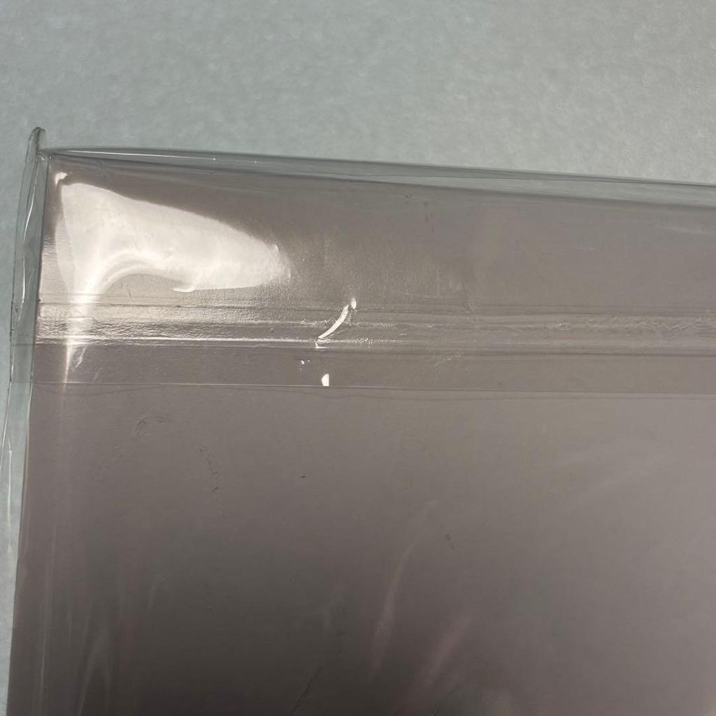 [USED] Stray Kids Foxl.Ny AIN Photo Card Keychain