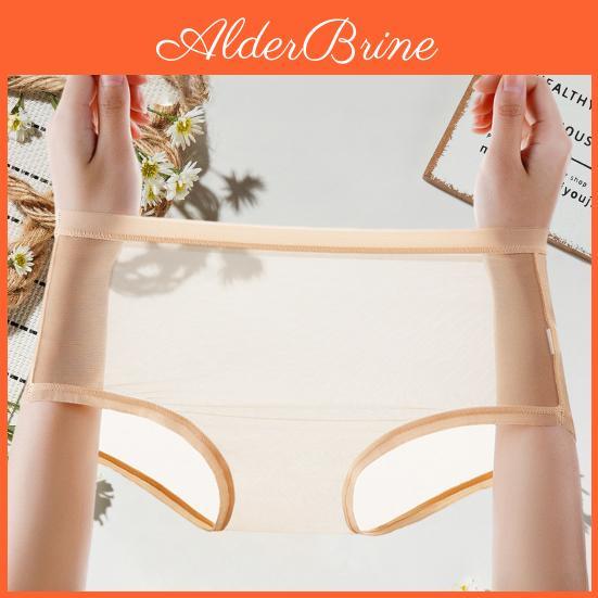 Sexy Women Panties For Transparent Plus Size See Through Mesh Sheer Underwear Seamless Mid Rise Thin Briefs