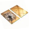 Kitchen Multifunctional Decorative Glass Boards Dandelion 2x30x52 Cm