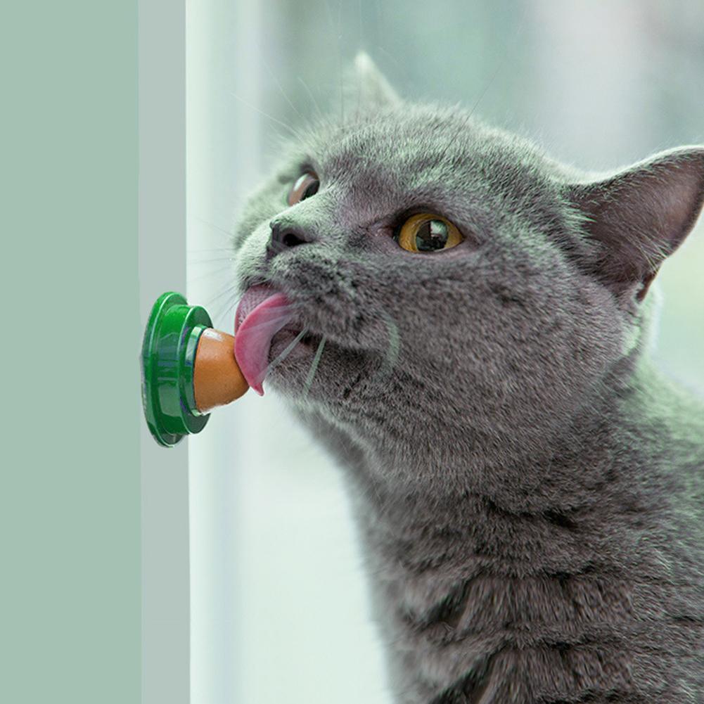 5/10Pcs Cat Nip Treats Lickable Pet Catnip Cat Sugar Ball Cat Snacks Candy Ball for Help Digestion