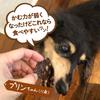 Mountains Gift Gibier Deer Meat Jerky Chip Type 30g Domestic Deer Additive Free Dog Treat