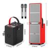 Temeisheng King Kong V6 Portable Outdoor Karaoke Speaker (CN version)