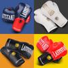 Datangyu Boxing Gloves