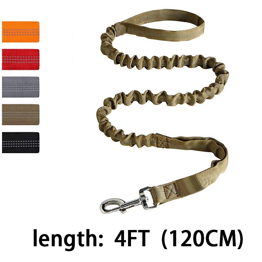 Elastic Shock-Absorbing Training Leash for Medium to Large Dogs, Anti-Explosion Design