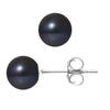 Earrings - - Genuine Black Cultured Pearls 7-8 Mm - 925 Silver - 2 Year Warranty
