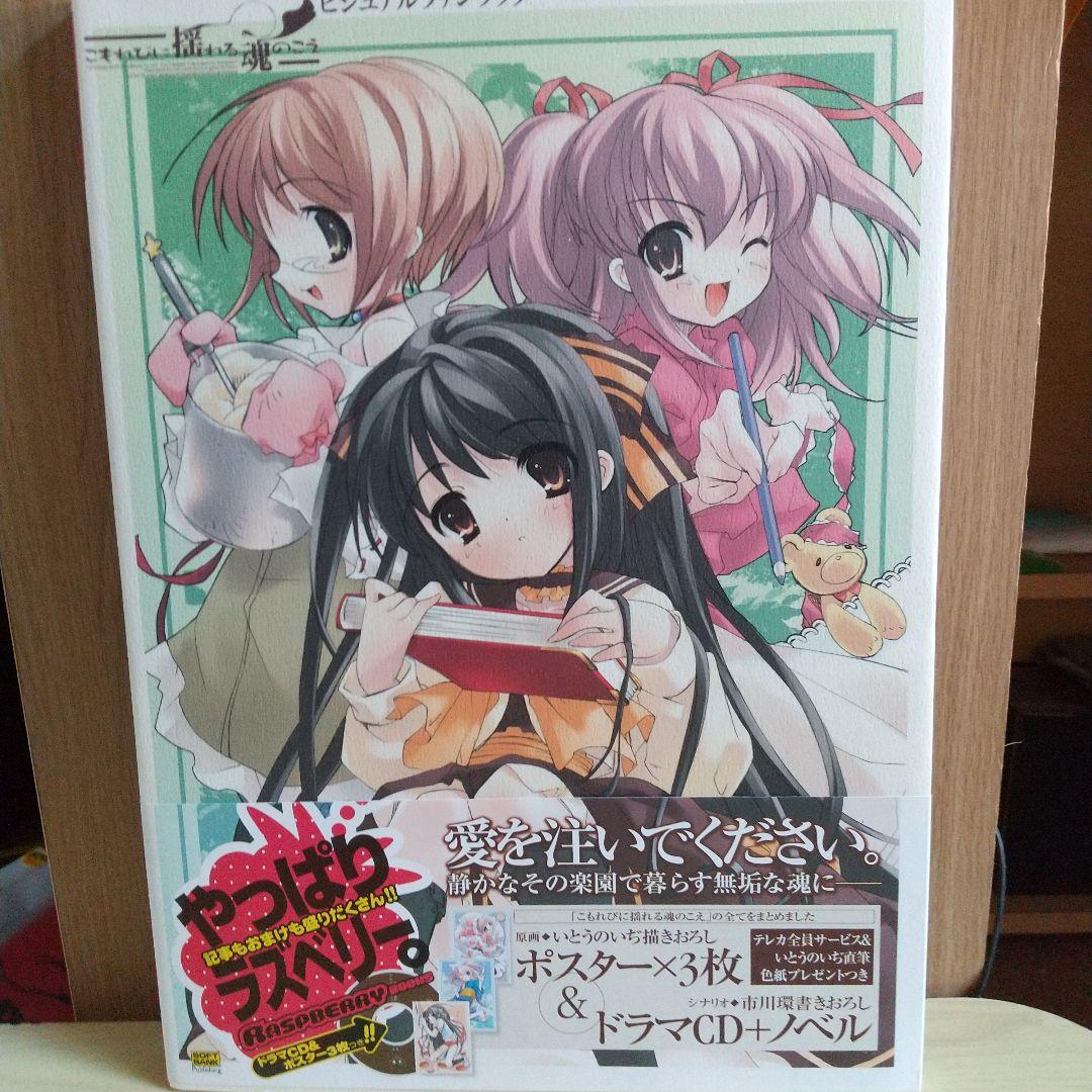 

[USED] A visual fan book of the soul swaying in silence