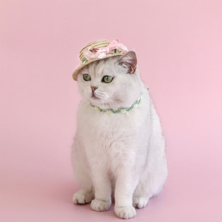 Puppy Straw Hat Outdoor Sunbonnet Costume Flower Hat Outdoor Lace Belt