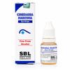 SBL Cineraria Maritima Drops (Alcohol Free) 10 Ml