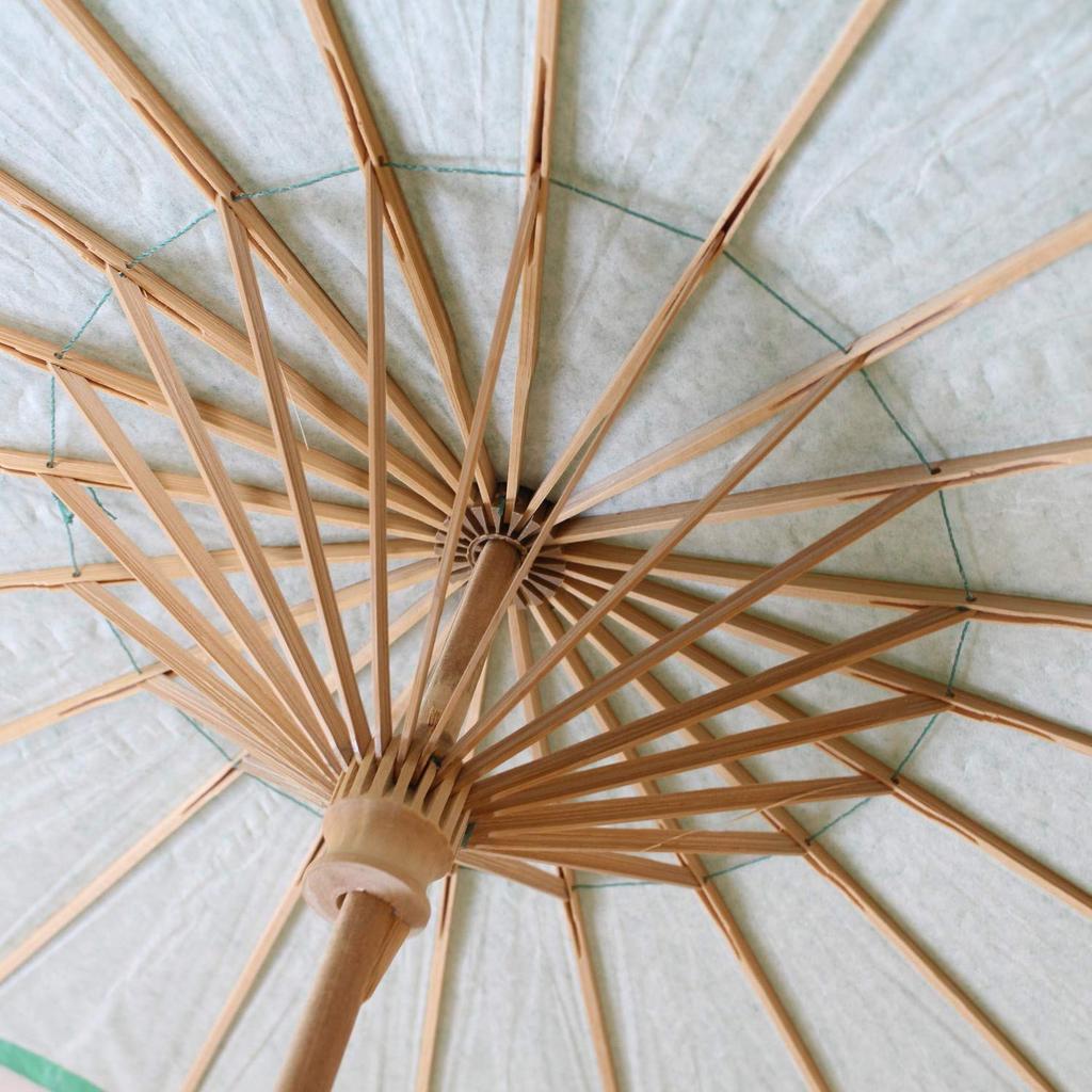 Smiti Paper Plain 9 Colors 60cm Japanese-style Umbrella, Design, Available, Diameter, Green.