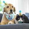 Pet Birthday Party Set: Dog Bandana, Banner & Hat