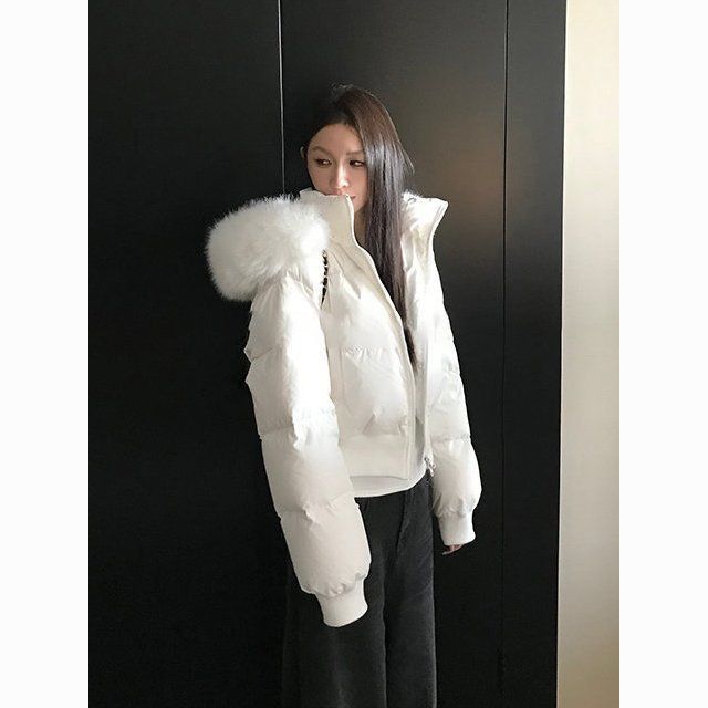 Simple Solid Color Short Parka Coat Street Zipper Hooded Short Cotton Clothing  Winter Clothes Women Jacket Women
