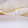 Zirconia Oval Earrings for Women, Gold & Silver Versatile Luxury Hoops, Fashionable Cross-Border Ear Studs
