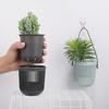 Self-Watering Double-Layer Hanging Flower Pot for Succulents and Small Plants