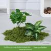 Luxury Faux Green Plant and Flower Decor - Indoor Moss and Grass Clusters for Elegant Landscaping.