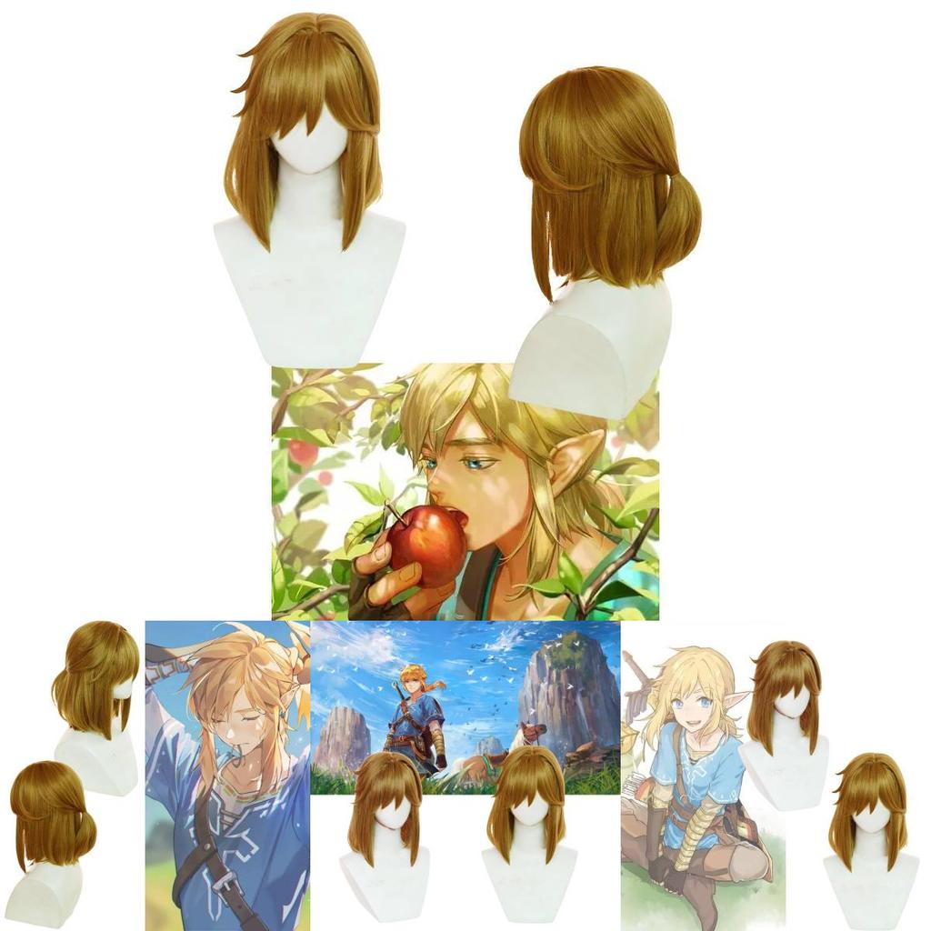 Breath Of The Wild Link Cosplay Wig With Realistic Scalp
