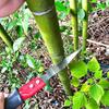 Tree Pruner Pole Saw Manual Telescopic Pole Saw Extendable Tree Pruning Saw
