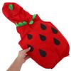 Strawberry Costume For Boys And Girls Realistic Fruit Costume Hood For Halloween Outfit And Stage Performances Years