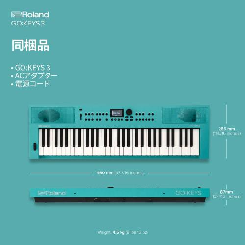 Roland GOKEYS3-TQ 61-Key Electronic Keyboard, Turquoise