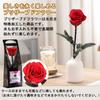 Preserved Rose Bouquet for Women, Birthdays, Anniversaries, Weddings, and Special Occasions. Includes a Plush Bear and a Single Red Rose. Perfect As