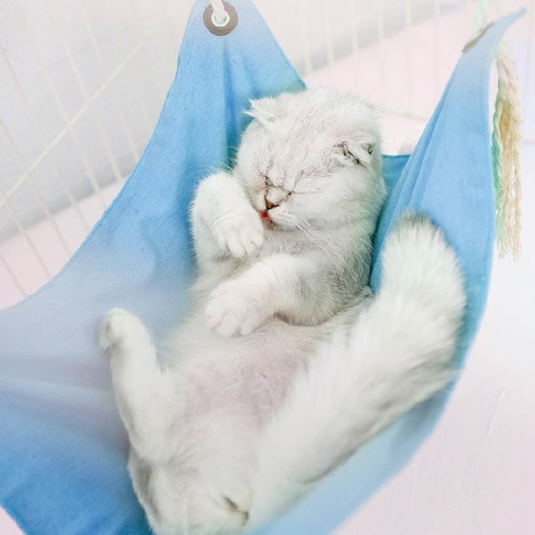 Cats House Hanging Hammock Heavy Duty Swing Bed Small Animal Hamster Cage Bed