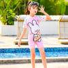 Summer 2025 Cute Princess Two-Piece Swimsuit for Girls