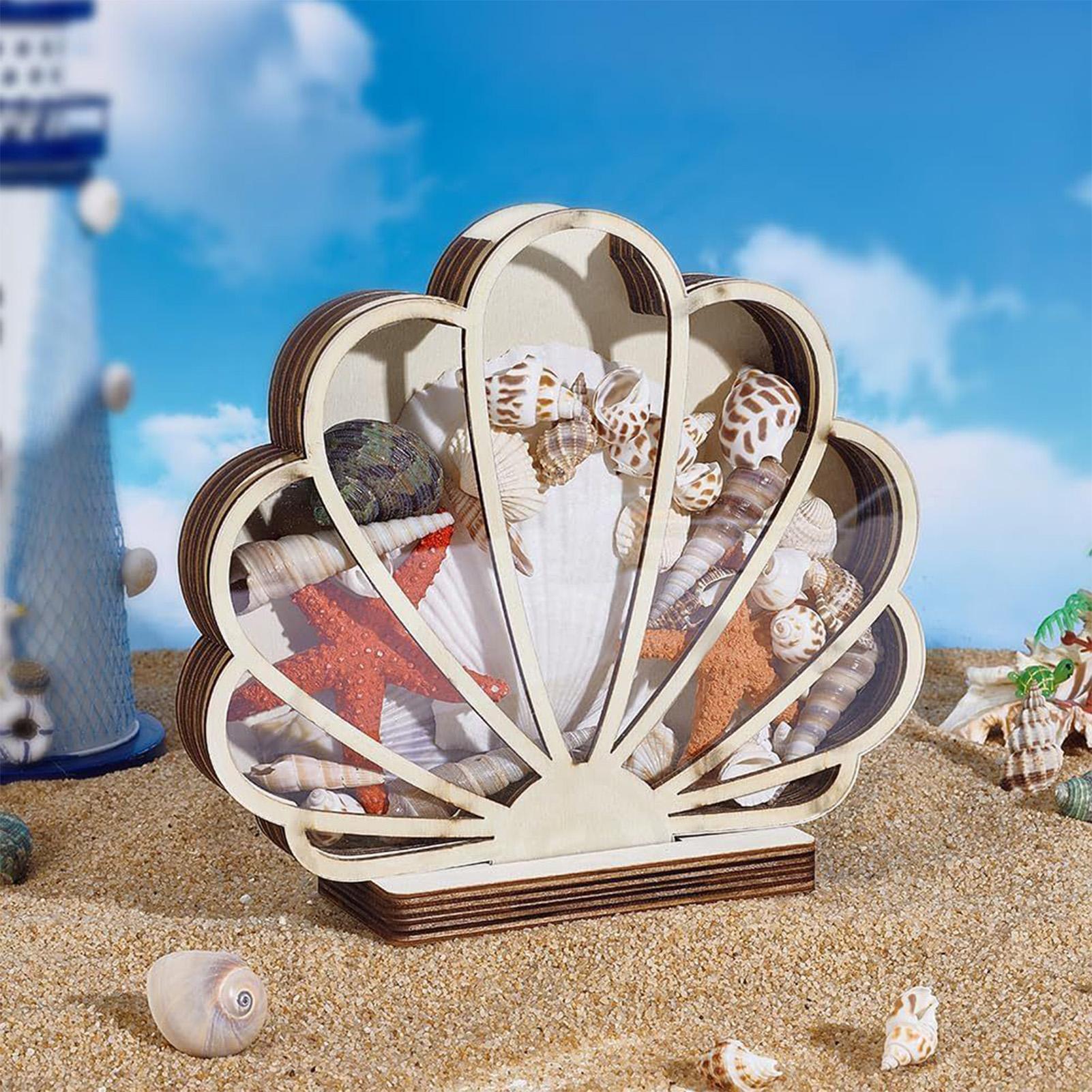 

Sea Shell Holder Wooden Seashell Shadow Box with Clear Window Coastal Home Decor Decorative Shadow Case for Glass Memory CHINA