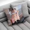 Funny Sad Hamster Meme Throw Pillow Case For Square Bedroom Pillowcase Cover