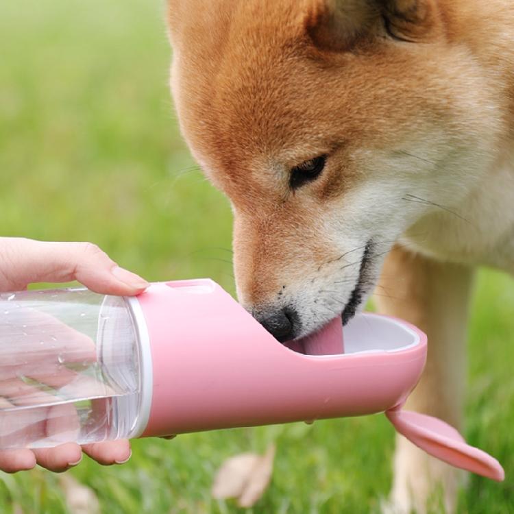 Hundewasserflasche und Futternapf Auslaufsicher 7 oz Trinkwasser Futterfütterung