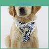 Soft And Breathable Mesh Dog Harness Vest With Matching Leash For Small Medium Pets
