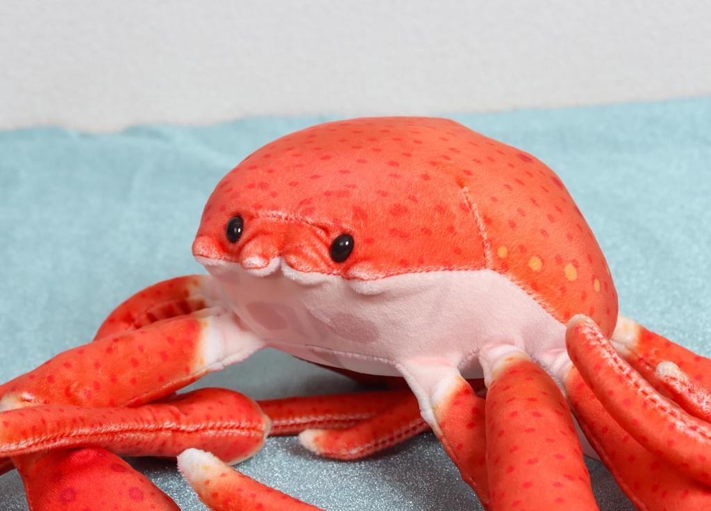 Takeoff Plush Toy: Sea, Fish, and Crab