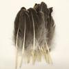 50Pcs Natural Goose Feathers Plume Craft DIY Royal Blue Feather Wedding Party Plumas Jewelry Making Decor Accessories 13-18CM