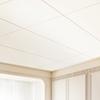 Ceiling Tiles 12-Pack 24 x 24 in PVC Foam Fire-Rated Smooth White