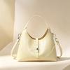 New Simple Shoulder Bag Lock Portable Women's Bag Daily Commuting Travel Exquisite Hand Bag
