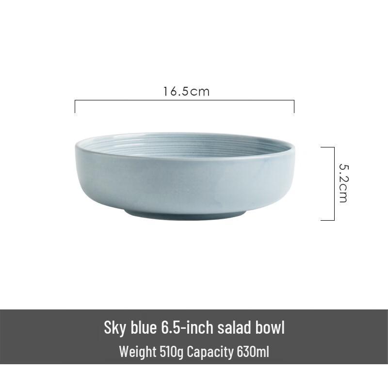 ZISIZ Japanische Retro Salatschüssel