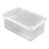 Scatola per Alimentazione e Allevamento per Rettili con Fori di Ventilazione sul Coperchio, Mini, Trasparente, Cornuta