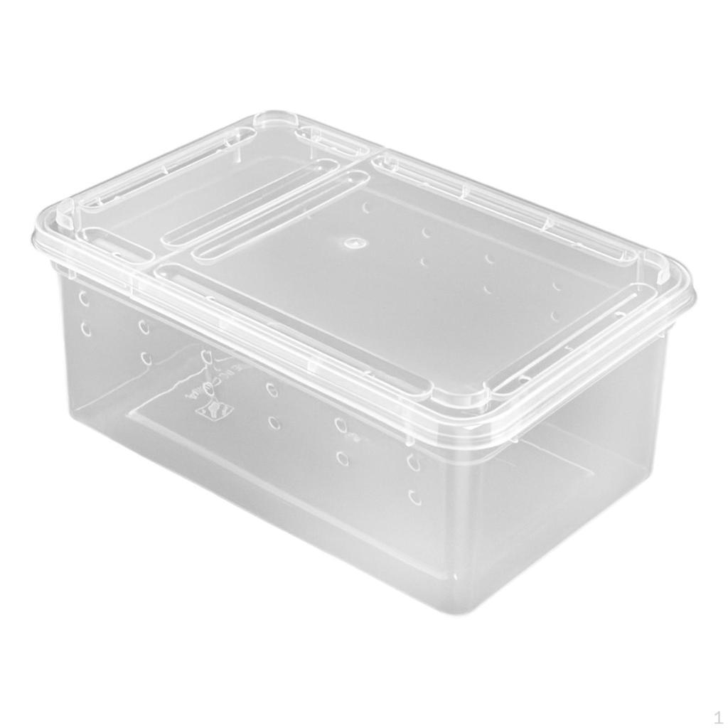 Scatola per Alimentazione e Allevamento per Rettili con Fori di Ventilazione sul Coperchio, Mini, Trasparente, Cornuta