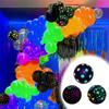 Fluorescent Balloons Glow Balloons Light-absorbing Pattern