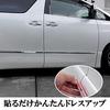 20 Series Vellfire/Alphard Stainless Steel Side Door Molding, Chrome-Tipped, Stick-On Type, for OEM Door Panels
