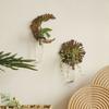 With Pipes Sun Moon Wall Planters Wall-Mounted Wall Hanging Holder Wooden Plant Fram  Kitchen